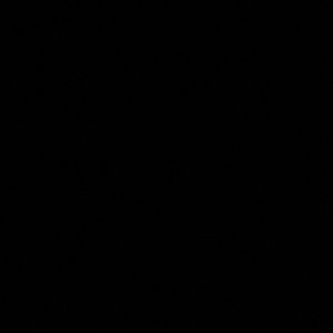 Meet your Posher, Carlos